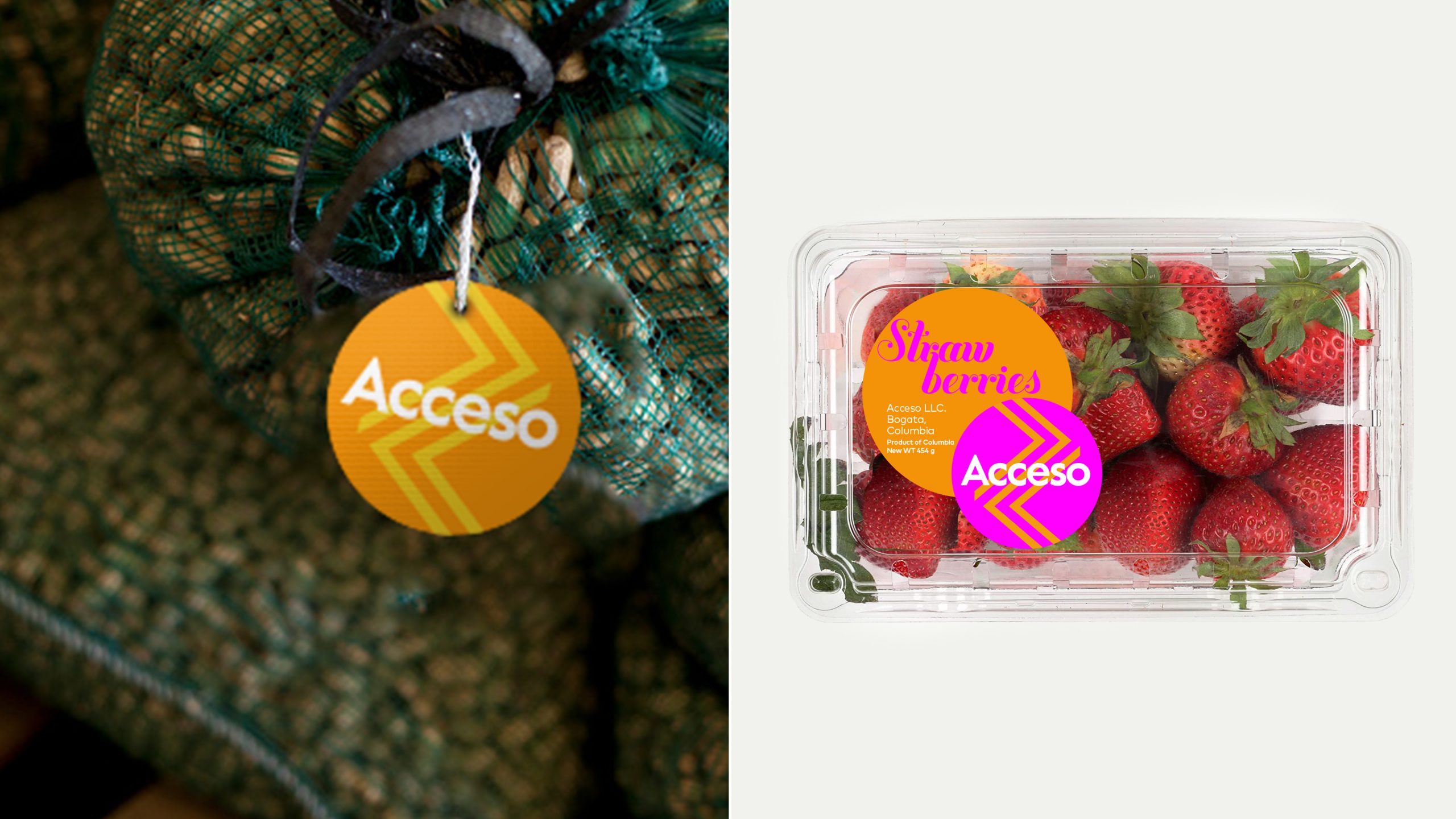 12.-Acceso-Case-Study-Food-Packaging-v01